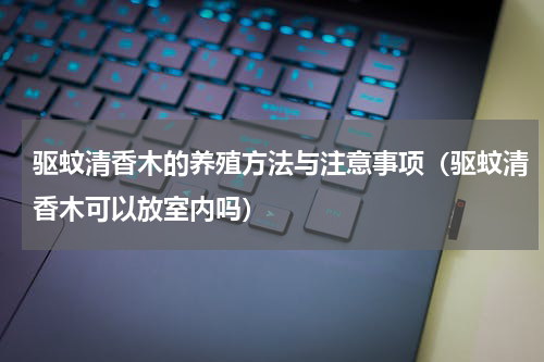 驱蚊清香木的养殖方法与注意事项（驱蚊清香木可以放室内吗）