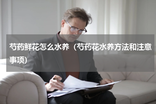 芍药鲜花怎么水养(芍药花水养方法和注意事项)