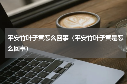 平安竹叶子黄怎么回事（平安竹叶子黄是怎么回事）