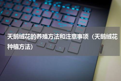 天鹅绒花的养殖方法和注意事项(天鹅绒花种植方法)