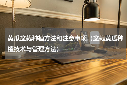 黄瓜盆栽种植方法和注意事项(盆栽黄瓜种植技术与管理方法)