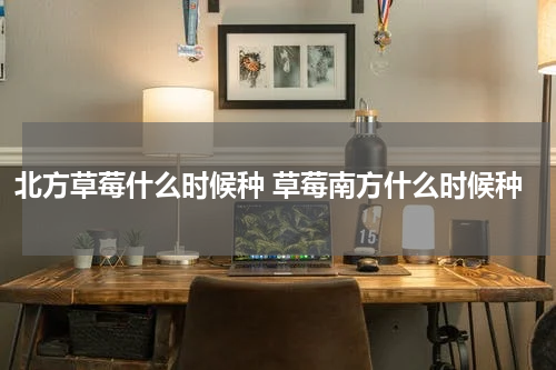 北方草莓什么时候种 草莓南方什么时候种