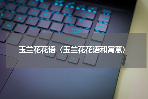 玉兰花花语(玉兰花花语和寓意)