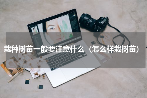 栽种树苗一般要注意什么(怎么样栽树苗)