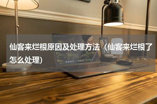 仙客来烂根原因及处理方法(仙客来烂根了怎么处理)