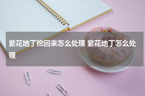 紫花地丁挖回来怎么处理 紫花地丁怎么处理