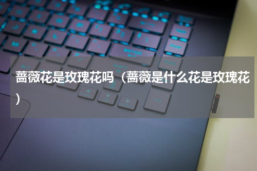 蔷薇花是玫瑰花吗(蔷薇是什么花是玫瑰花)