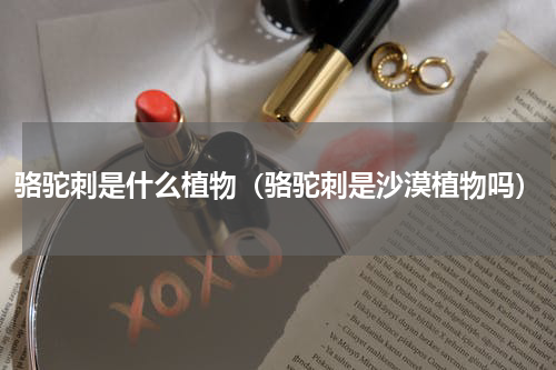 骆驼刺是什么植物(骆驼刺是沙漠植物吗)