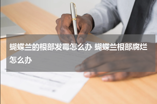 蝴蝶兰的根部发霉怎么办 蝴蝶兰根部腐烂怎么办