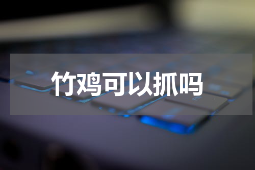 竹鸡可以抓吗