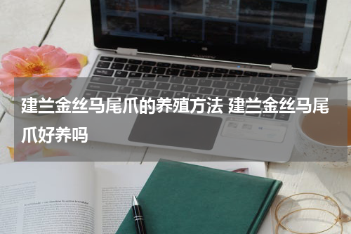 建兰金丝马尾爪的养殖方法 建兰金丝马尾爪好养吗