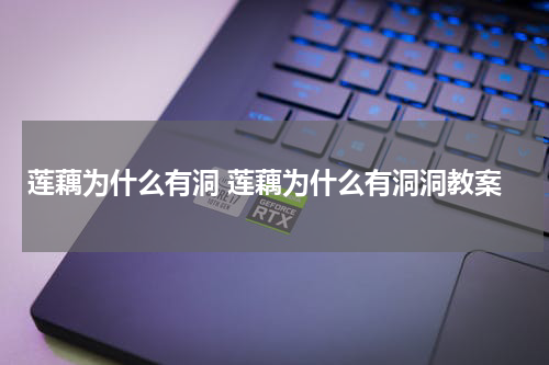 莲藕为什么有洞 莲藕为什么有洞洞教案