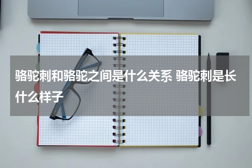 骆驼刺和骆驼之间是什么关系 骆驼刺是长什么样子