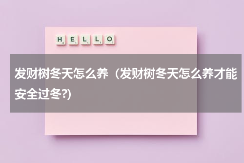 发财树冬天怎么养(发财树冬天怎么养才能安全过冬?)