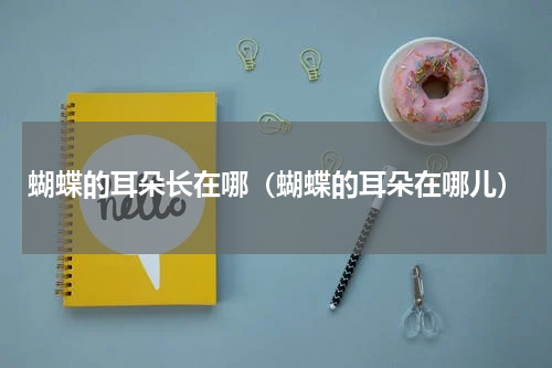 蝴蝶的耳朵长在哪(蝴蝶的耳朵在哪儿)