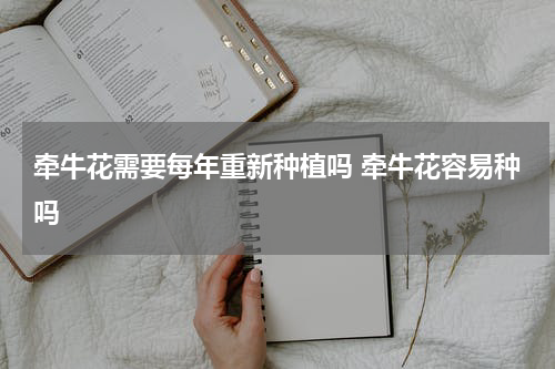 牵牛花需要每年重新种植吗 牵牛花容易种吗