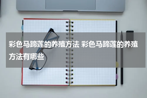 彩色马蹄莲的养殖方法 彩色马蹄莲的养殖方法有哪些