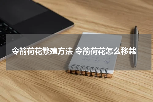 令箭荷花繁殖方法 令箭荷花怎么移栽