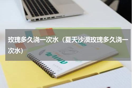 玫瑰多久浇一次水(夏天沙漠玫瑰多久浇一次水)