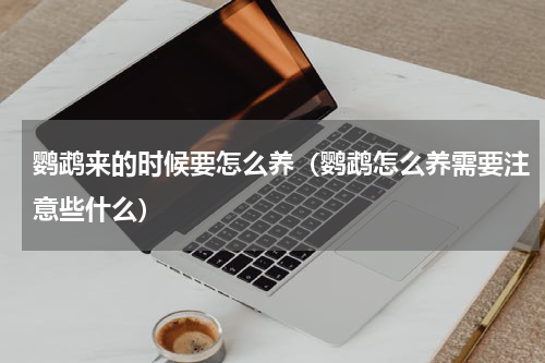 鹦鹉来的时候要怎么养(鹦鹉怎么养需要注意些什么)