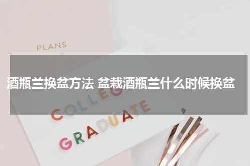 酒瓶兰换盆方法 盆栽酒瓶兰什么时候换盆