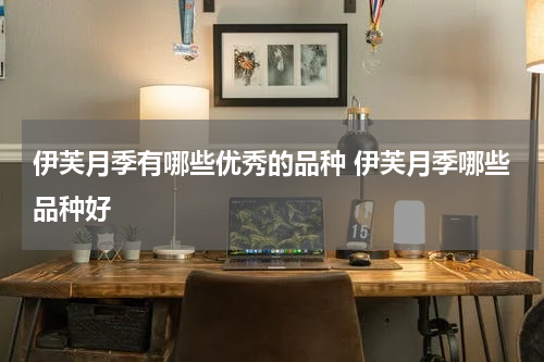 伊芙月季有哪些优秀的品种 伊芙月季哪些品种好