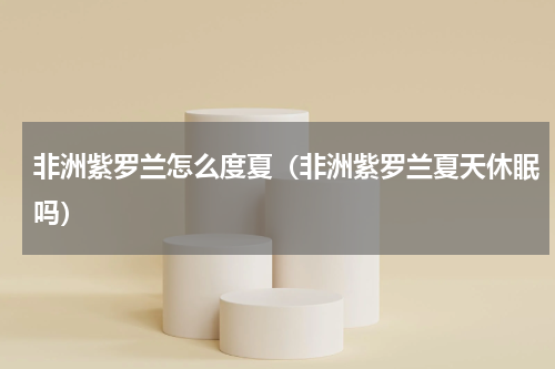 非洲紫罗兰怎么度夏(非洲紫罗兰夏天休眠吗)