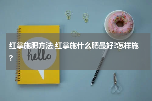 红掌施肥方法 红掌施什么肥最好?怎样施?