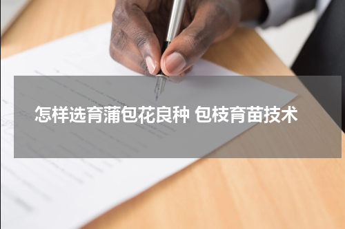 怎样选育蒲包花良种 包枝育苗技术