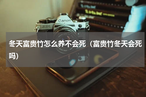 冬天富贵竹怎么养不会死(富贵竹冬天会死吗)