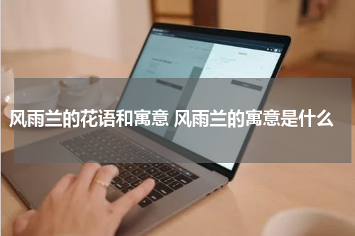 风雨兰的花语和寓意 风雨兰的寓意是什么