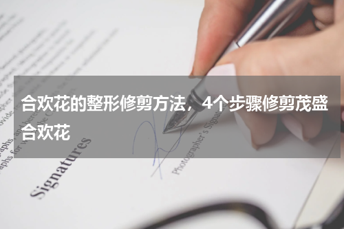 合欢花的整形修剪方法，4个步骤修剪茂盛合欢花