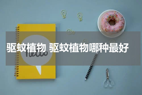 驱蚊植物 驱蚊植物哪种最好
