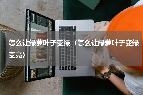 怎么让绿萝叶子变绿(怎么让绿萝叶子变绿变亮)