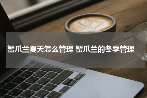 蟹爪兰夏天怎么管理 蟹爪兰的冬季管理