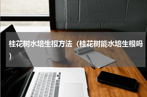 桂花树水培生根方法(桂花树能水培生根吗)