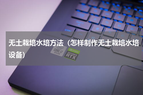 无土栽培水培方法(怎样制作无土栽培水培设备)