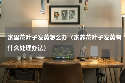 家里花叶子发黄怎么办(家养花叶子发黄有什么处理办法)