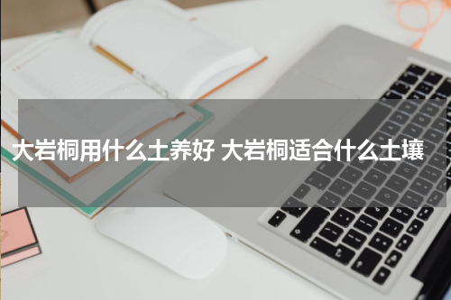 大岩桐用什么土养好 大岩桐适合什么土壤
