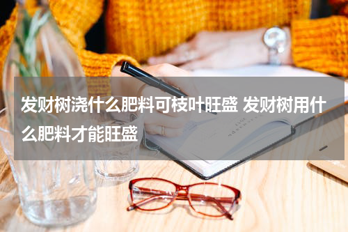 发财树浇什么肥料可枝叶旺盛 发财树用什么肥料才能旺盛