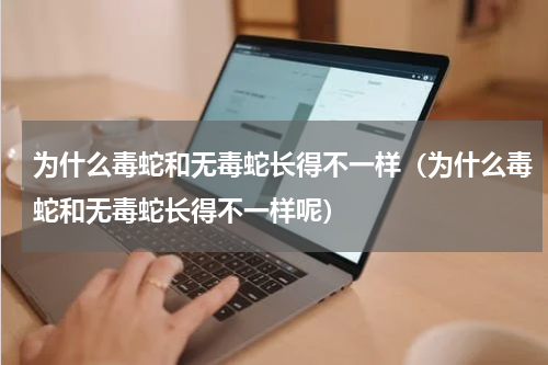 为什么毒蛇和无毒蛇长得不一样(为什么毒蛇和无毒蛇长得不一样呢)