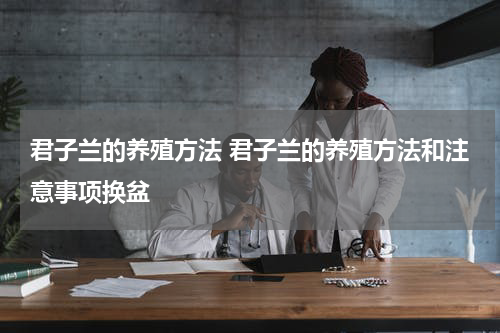 君子兰的养殖方法 君子兰的养殖方法和注意事项换盆