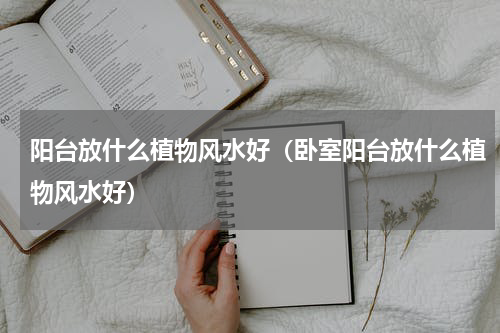 阳台放什么植物风水好(卧室阳台放什么植物风水好)