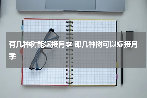 有几种树能嫁接月季 那几种树可以嫁接月季