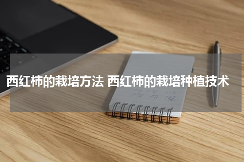 西红柿的栽培方法 西红柿的栽培种植技术