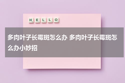 多肉叶子长霉斑怎么办 多肉叶子长霉斑怎么办小妙招