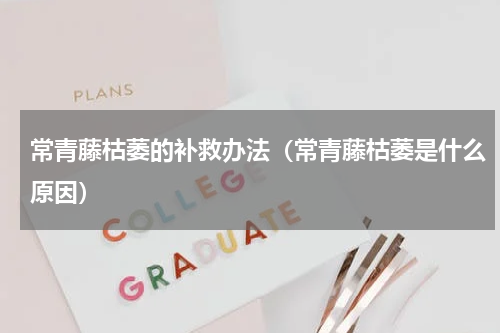 常青藤枯萎的补救办法(常青藤枯萎是什么原因)