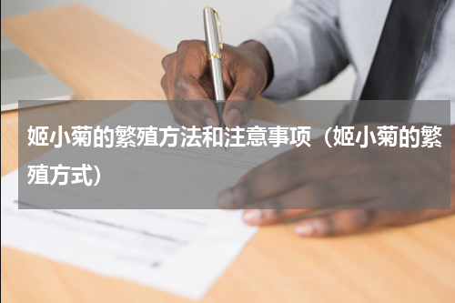 姬小菊的繁殖方法和注意事项(姬小菊的繁殖方式)