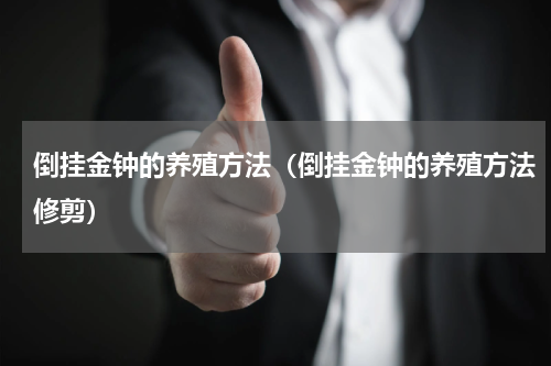 倒挂金钟的养殖方法(倒挂金钟的养殖方法修剪)