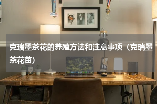 克瑞墨茶花的养殖方法和注意事项(克瑞墨茶花苗)